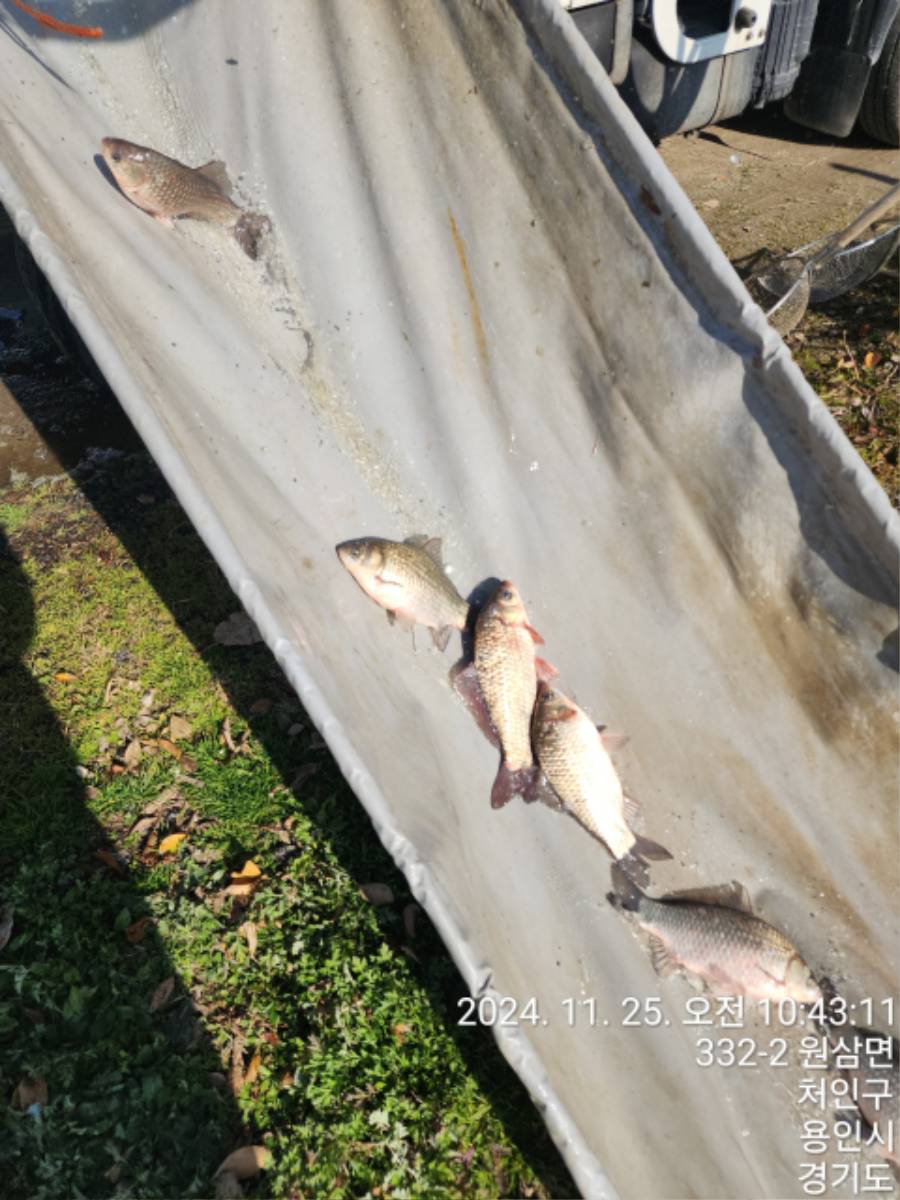KakaoTalk_20241125_155835470.jpg