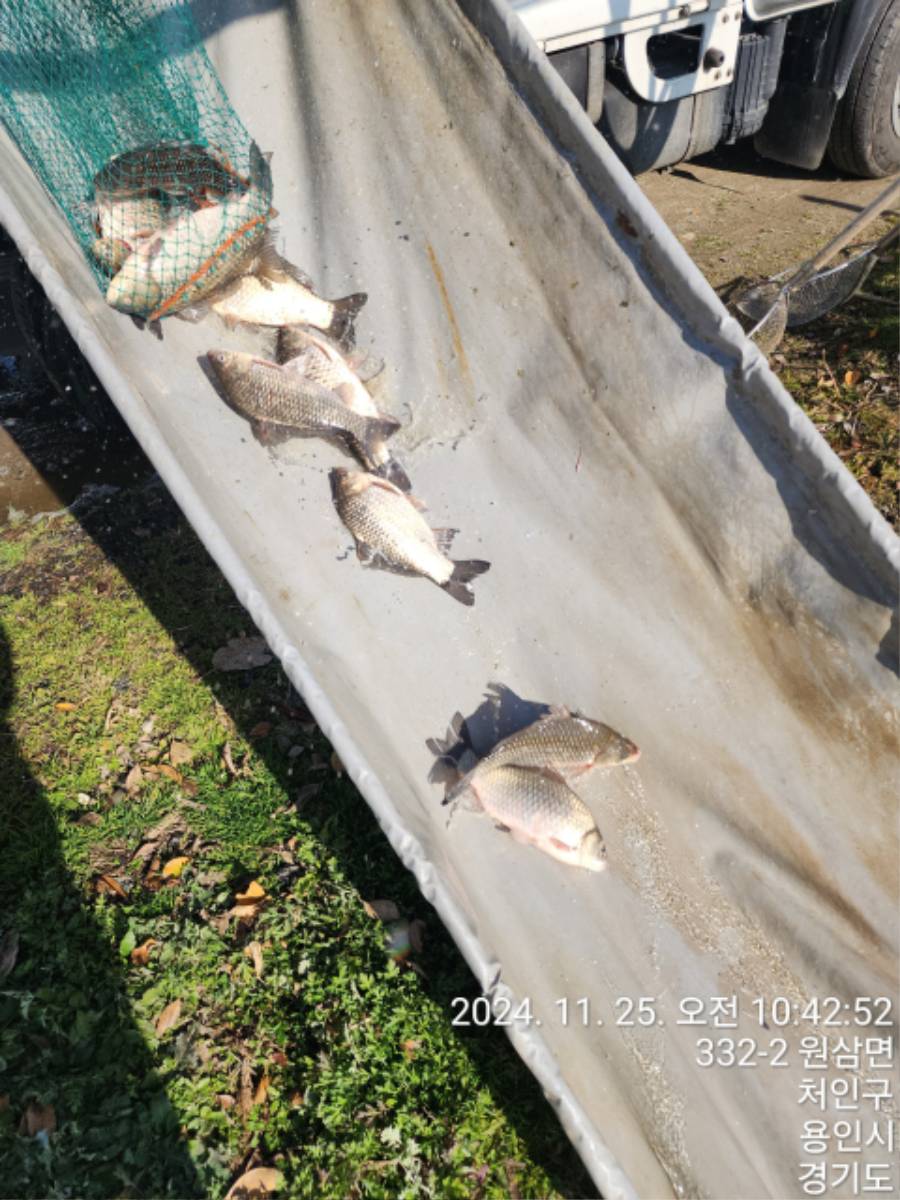 KakaoTalk_20241125_155835470_01.jpg