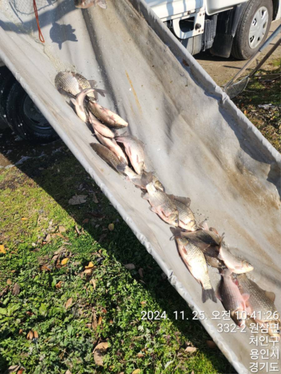 KakaoTalk_20241125_155835470_06.jpg