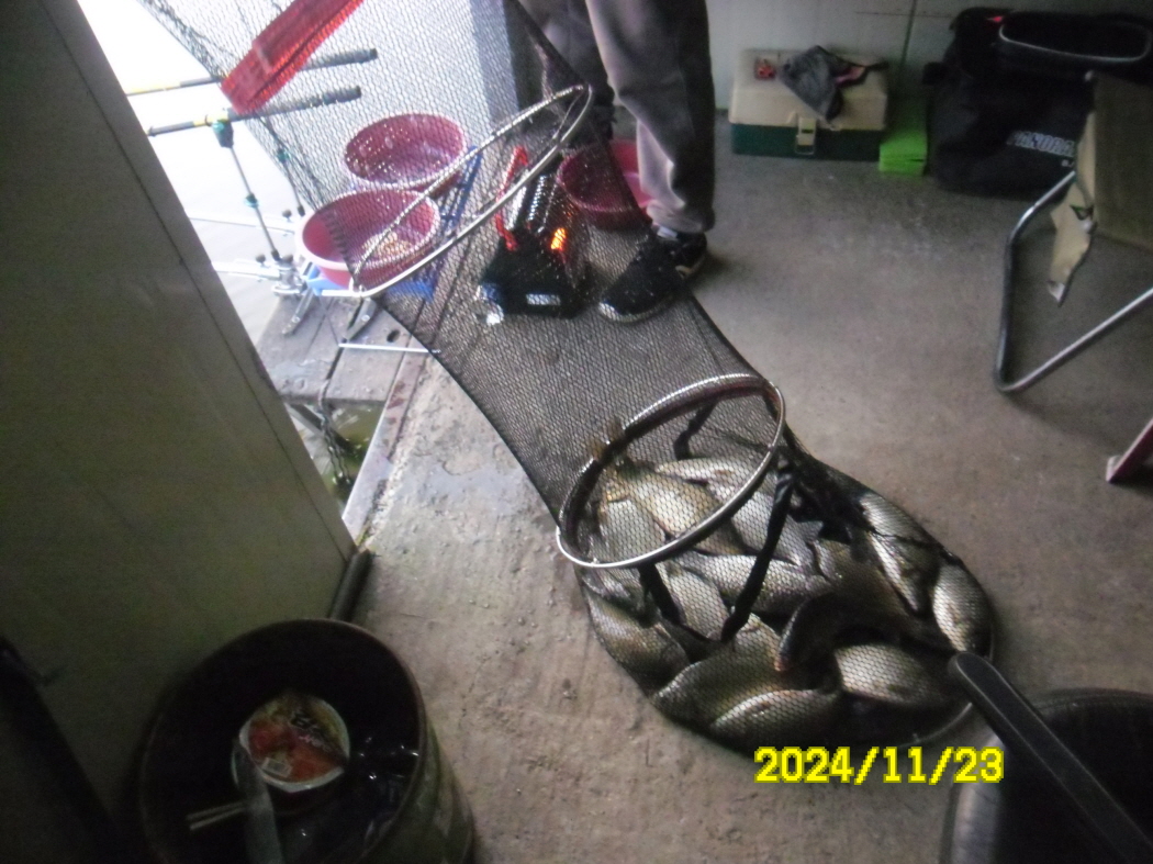 SAM_0535.JPG
