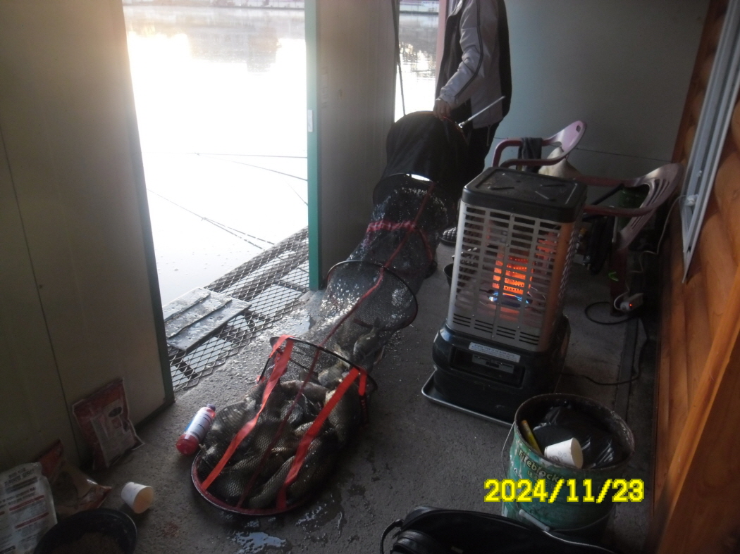 SAM_0536.JPG
