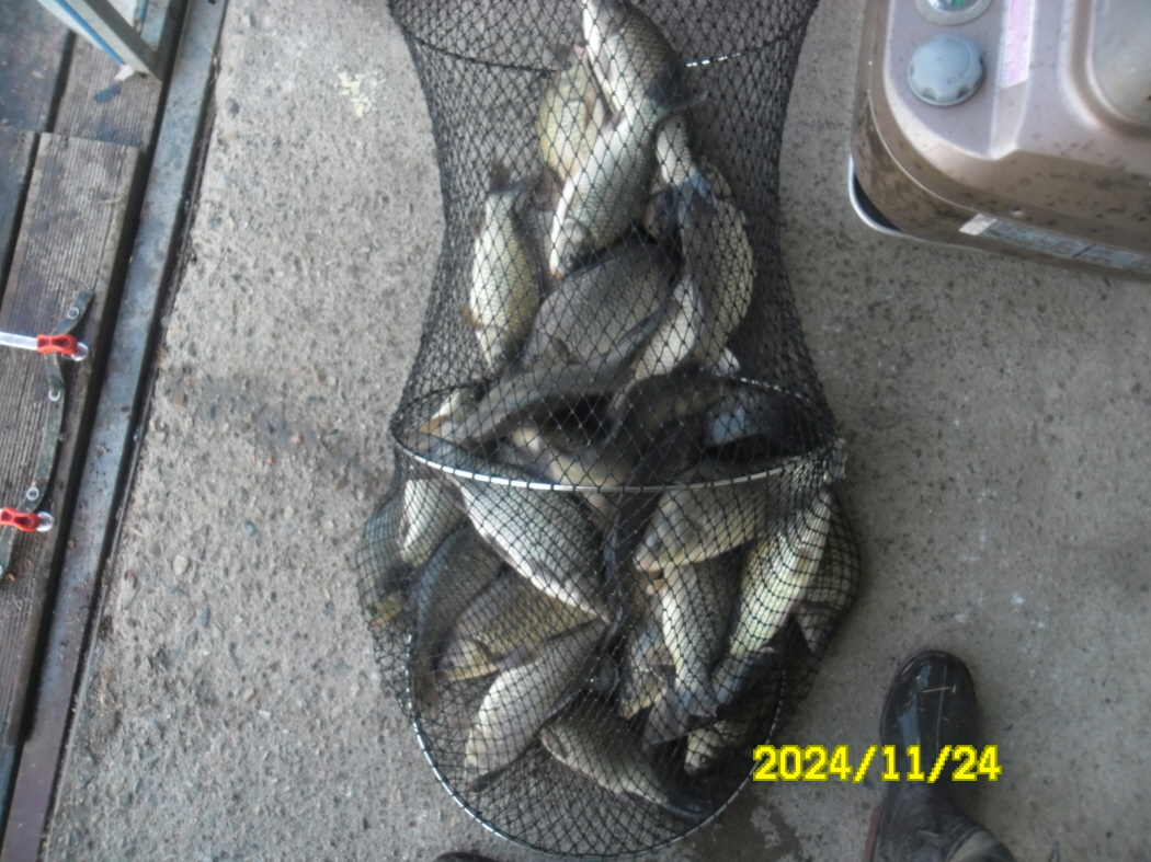 SAM_0559.JPG