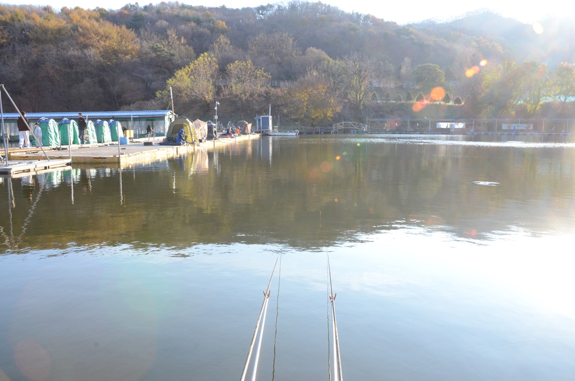 DSC_2294.JPG
