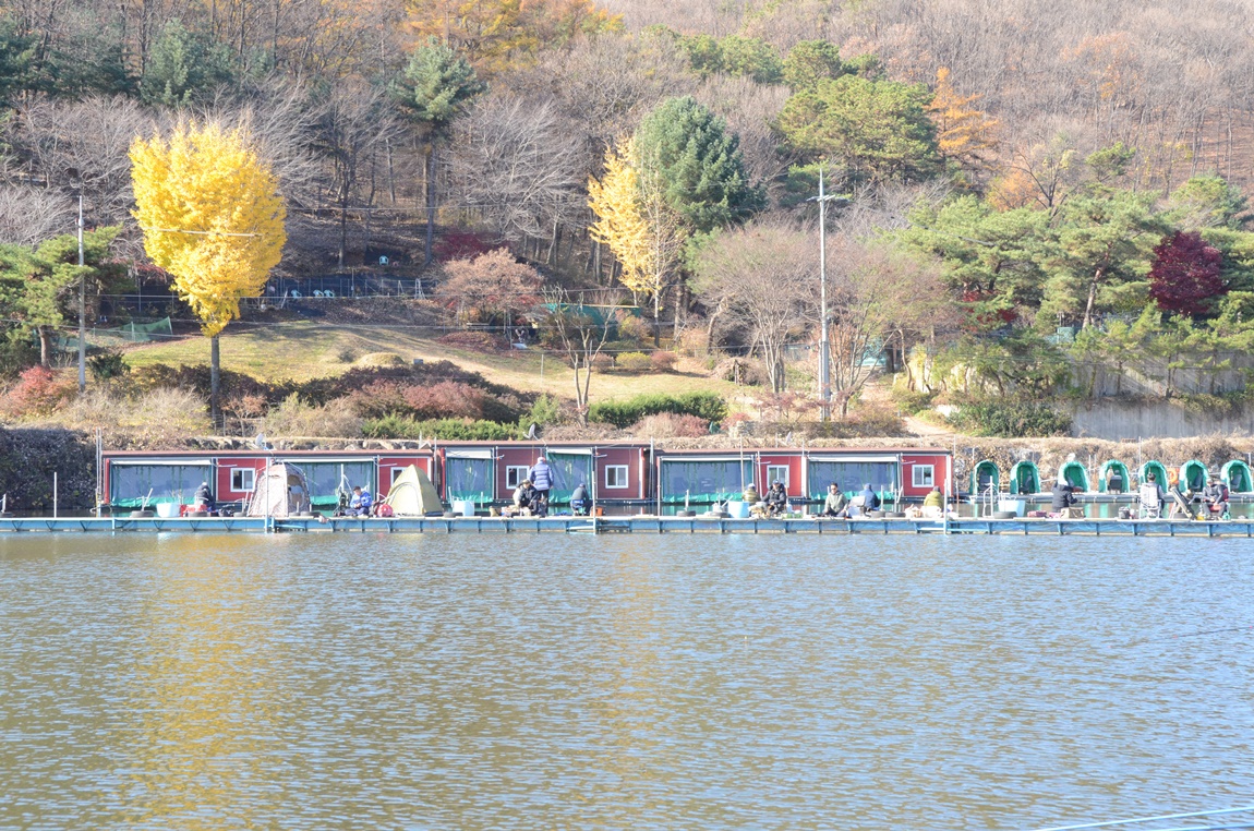 DSC_2315.JPG