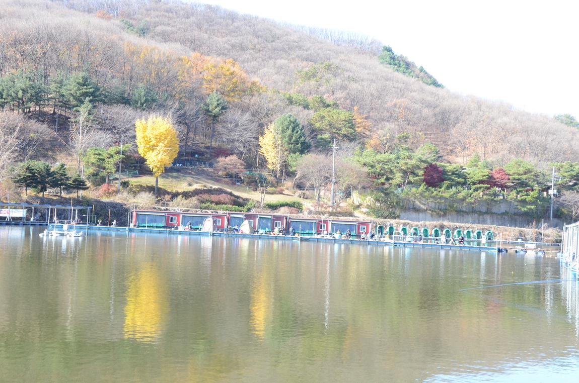 DSC_2316.JPG