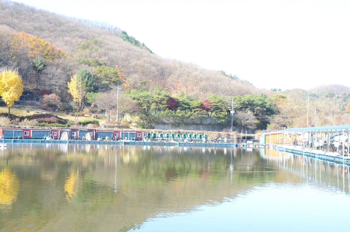DSC_2354.JPG