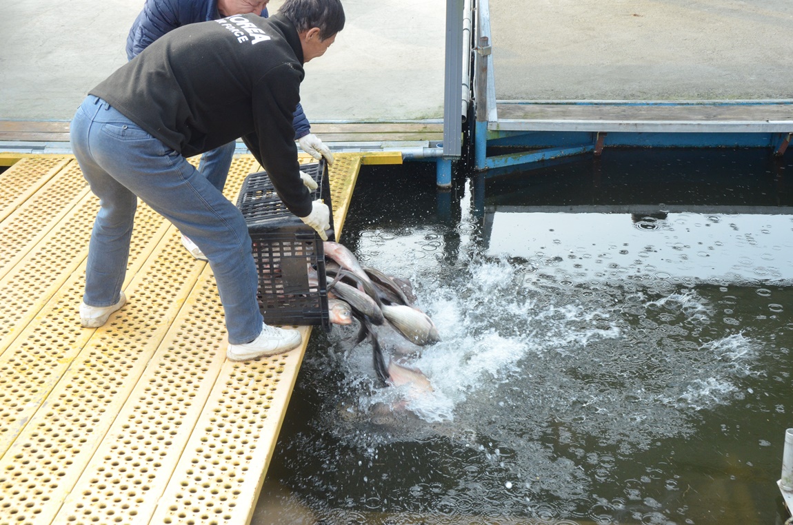 DSC_2176.JPG