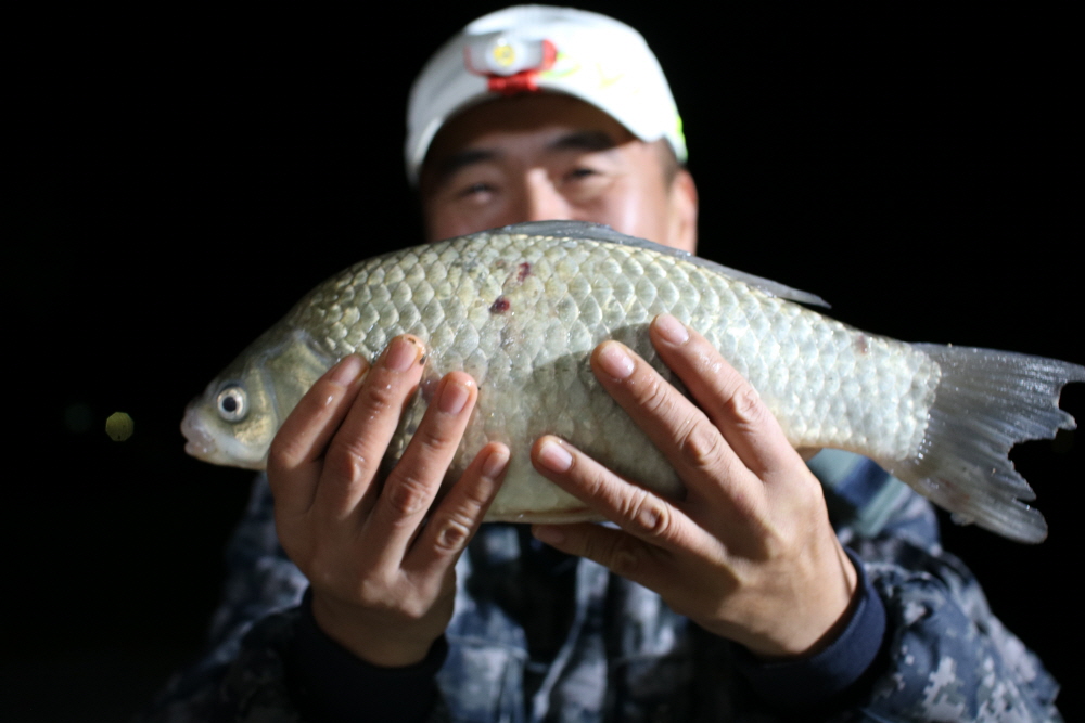 [ũ⺯ȯ]IMG_8775.JPG