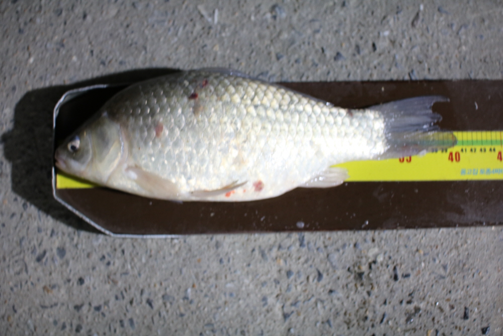[ũ⺯ȯ]IMG_8772.JPG