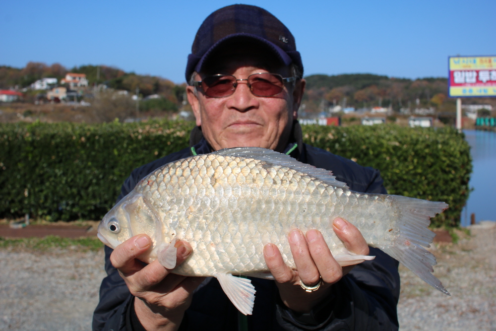 [ũ⺯ȯ]IMG_8794.JPG