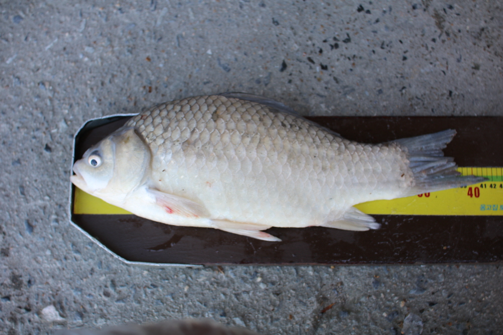 [ũ⺯ȯ]IMG_8793.JPG