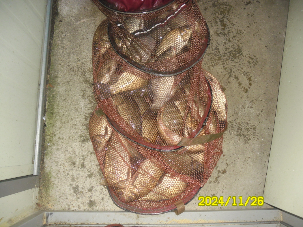 SAM_0582.JPG