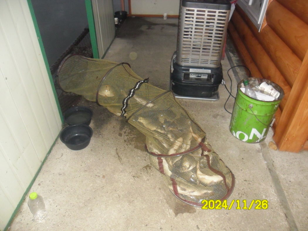 SAM_0583.JPG