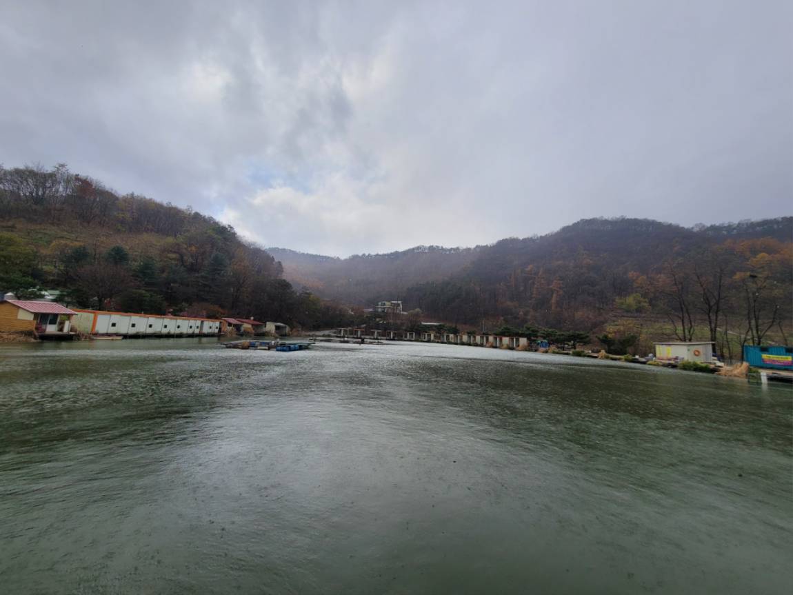 20241126_111531.jpg
