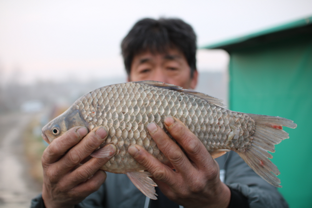 [ũ⺯ȯ]IMG_8889.JPG