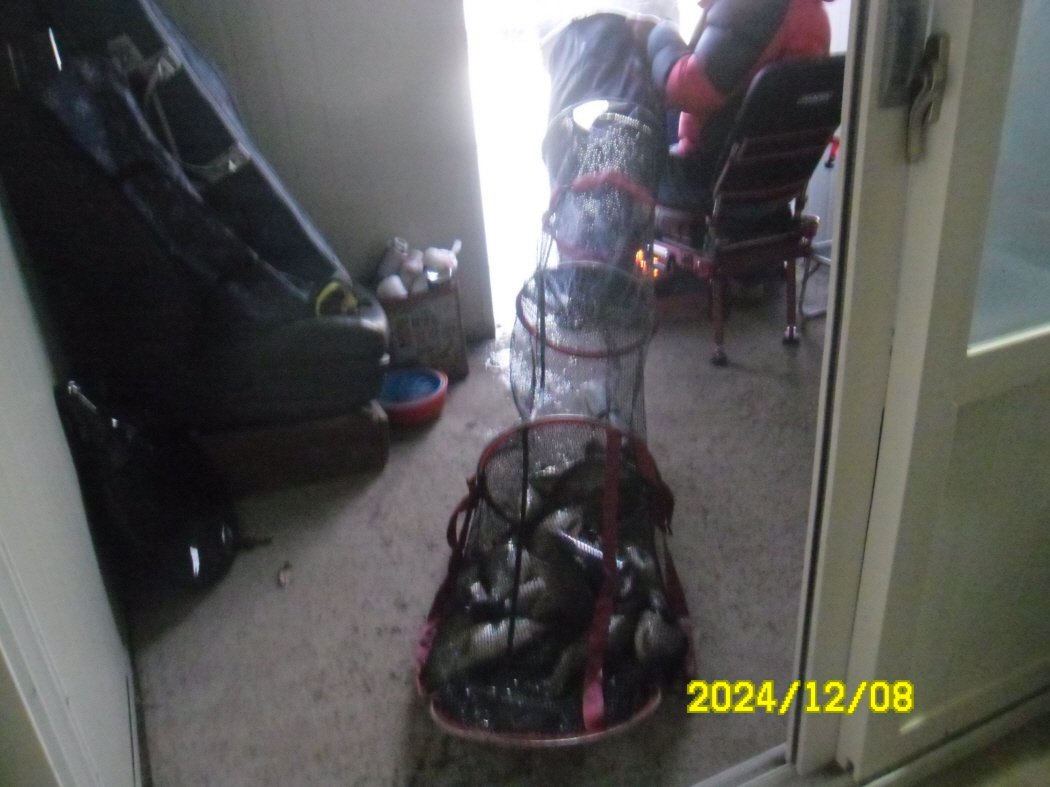 SAM_0725.JPG