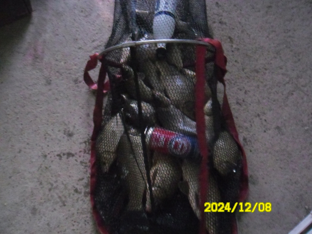 SAM_0727.JPG
