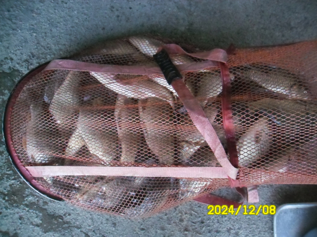 SAM_0732.JPG