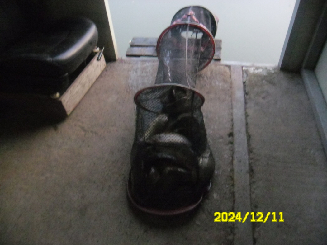 SAM_0767.JPG