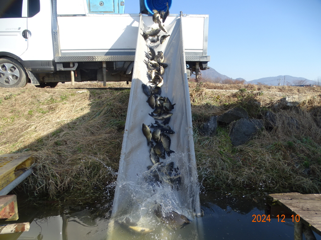 DSC07628.JPG