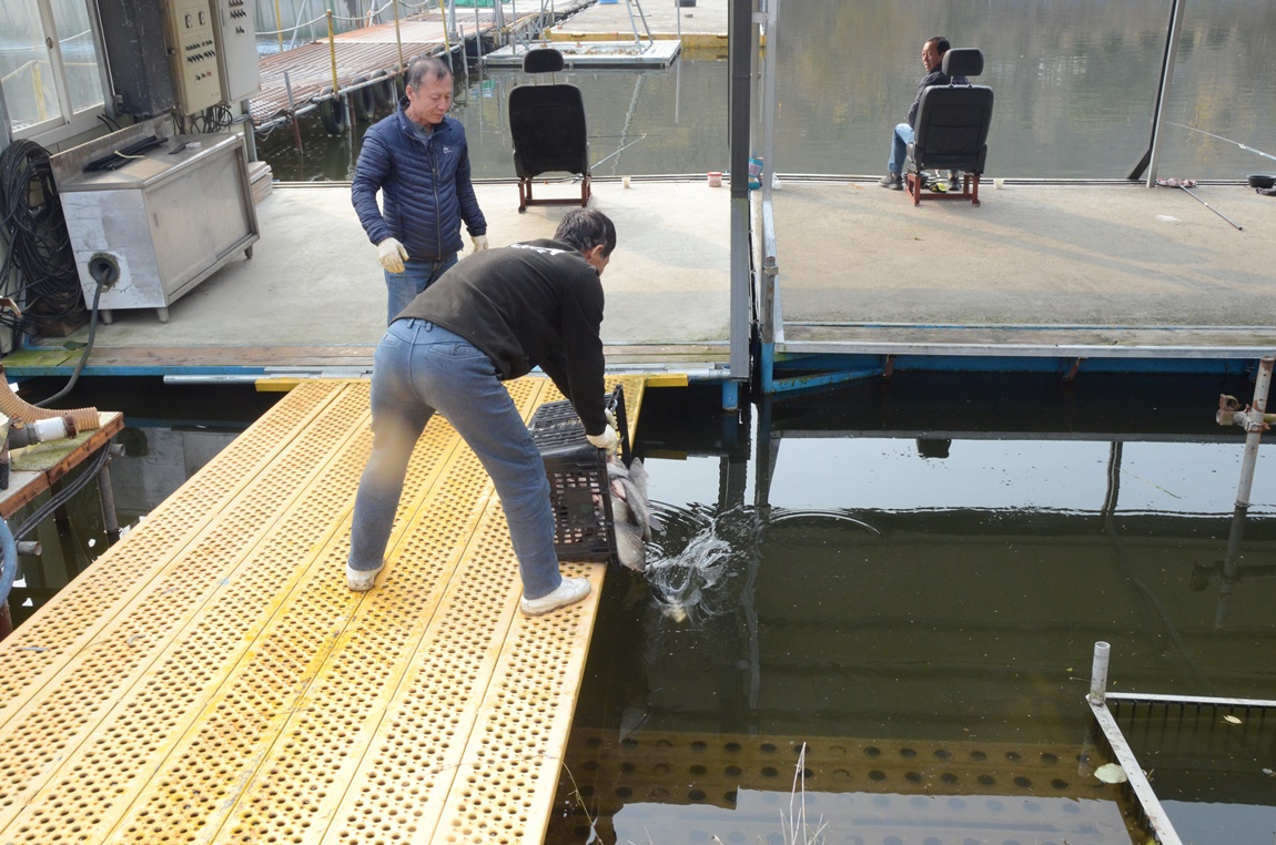 DSC_2225.JPG