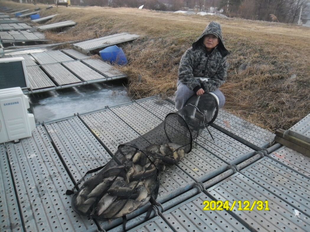 SAM_0947.JPG