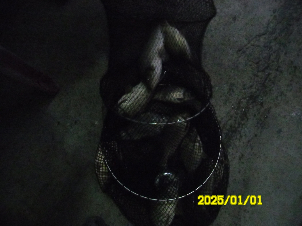 SAM_0952.JPG