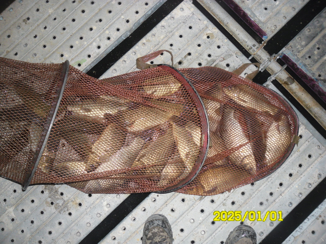 SAM_0959.JPG