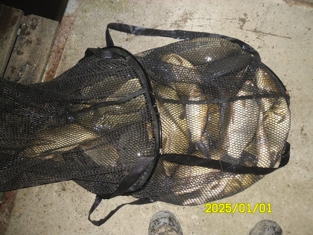 SAM_0956.JPG