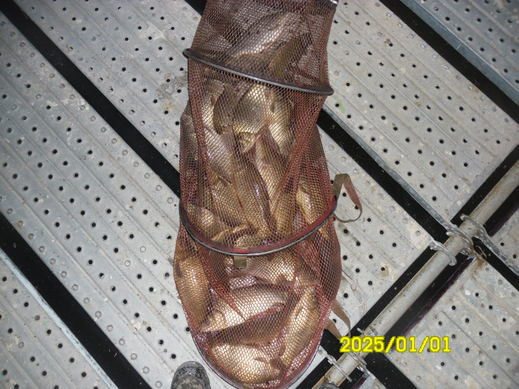 SAM_0960.JPG