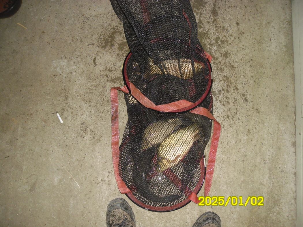 SAM_0963.JPG