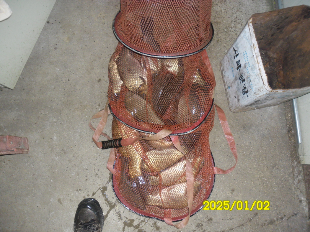 SAM_0967.JPG