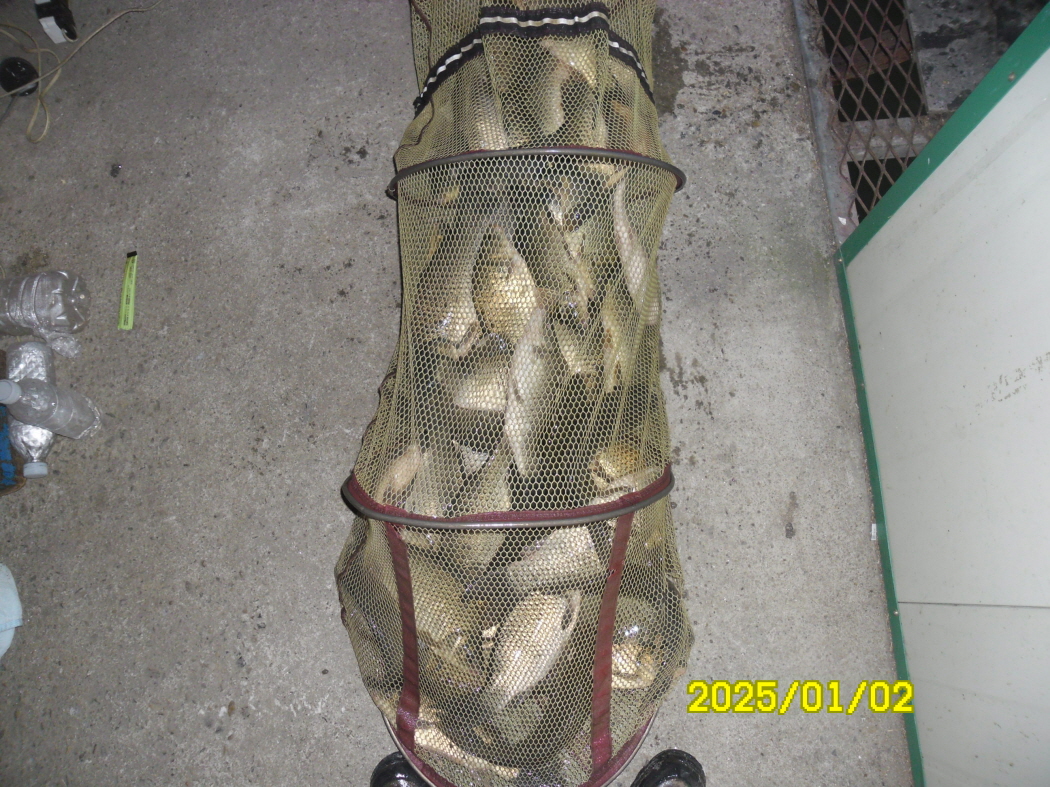 SAM_0971.JPG