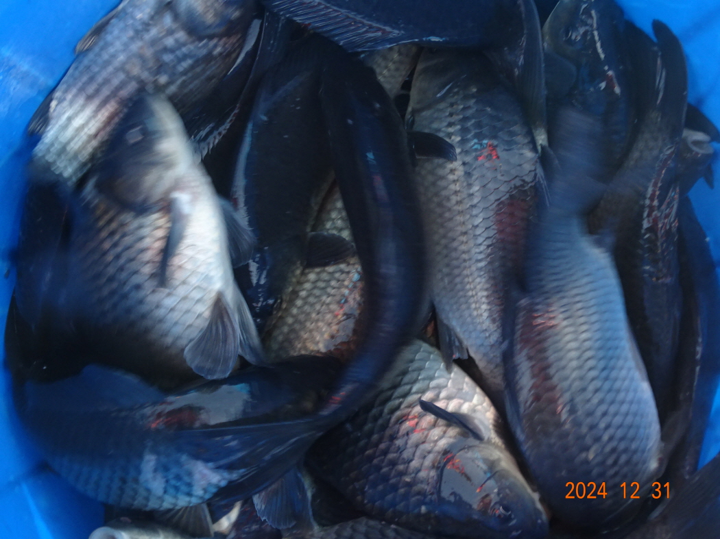 DSC08053.JPG