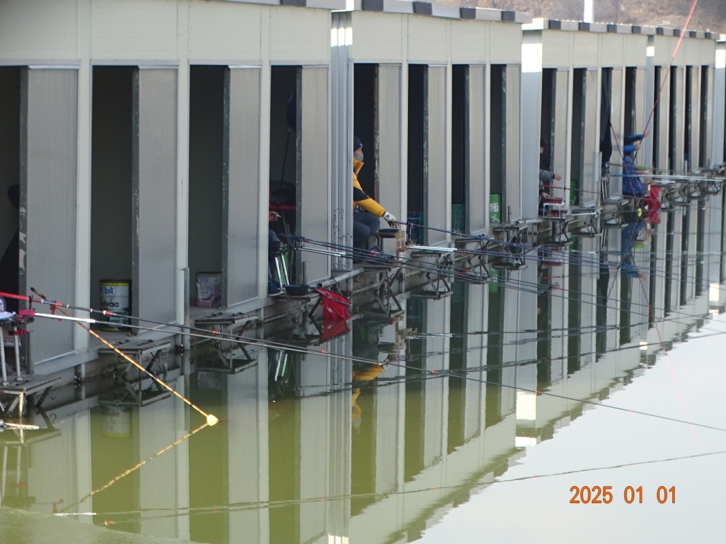DSC08113.JPG