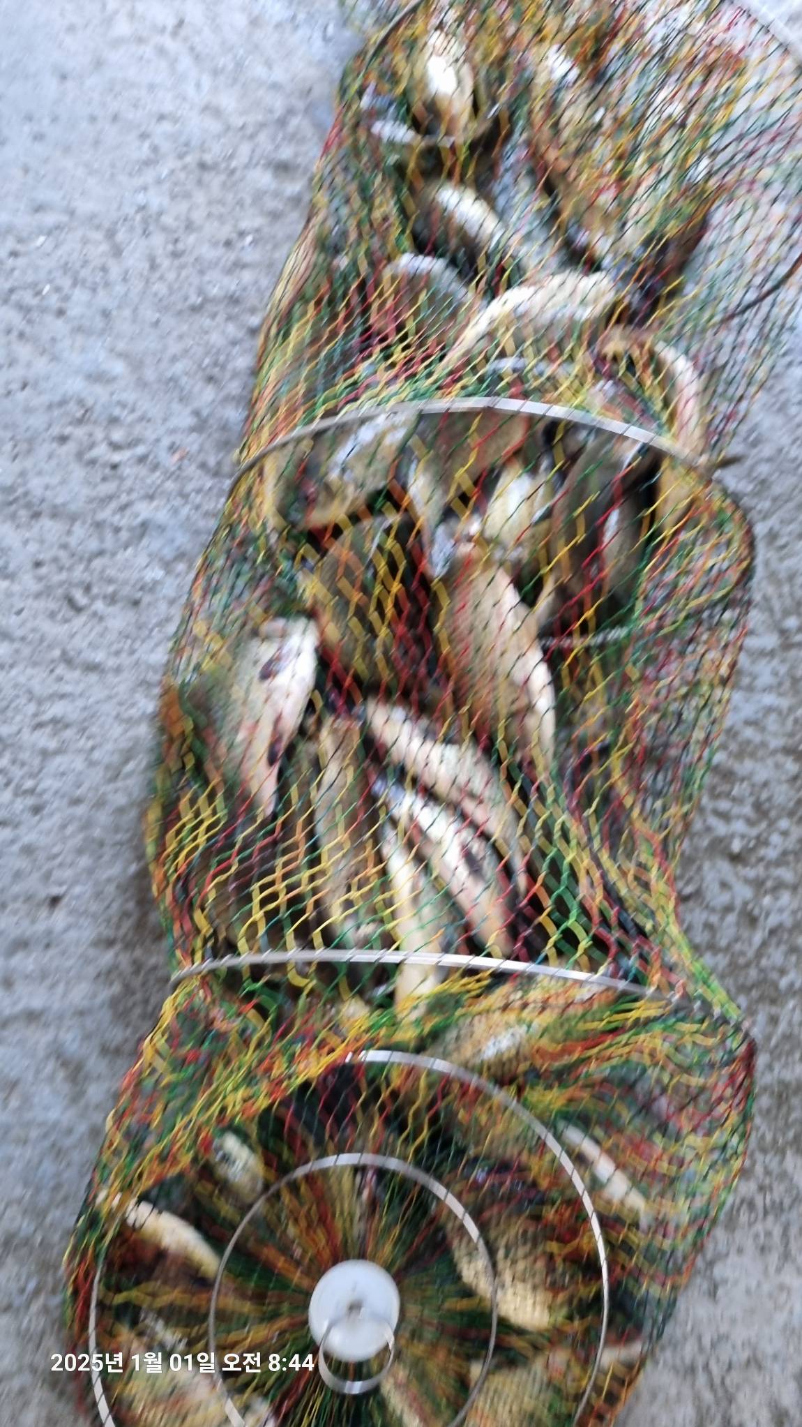 20250101_084459.jpg
