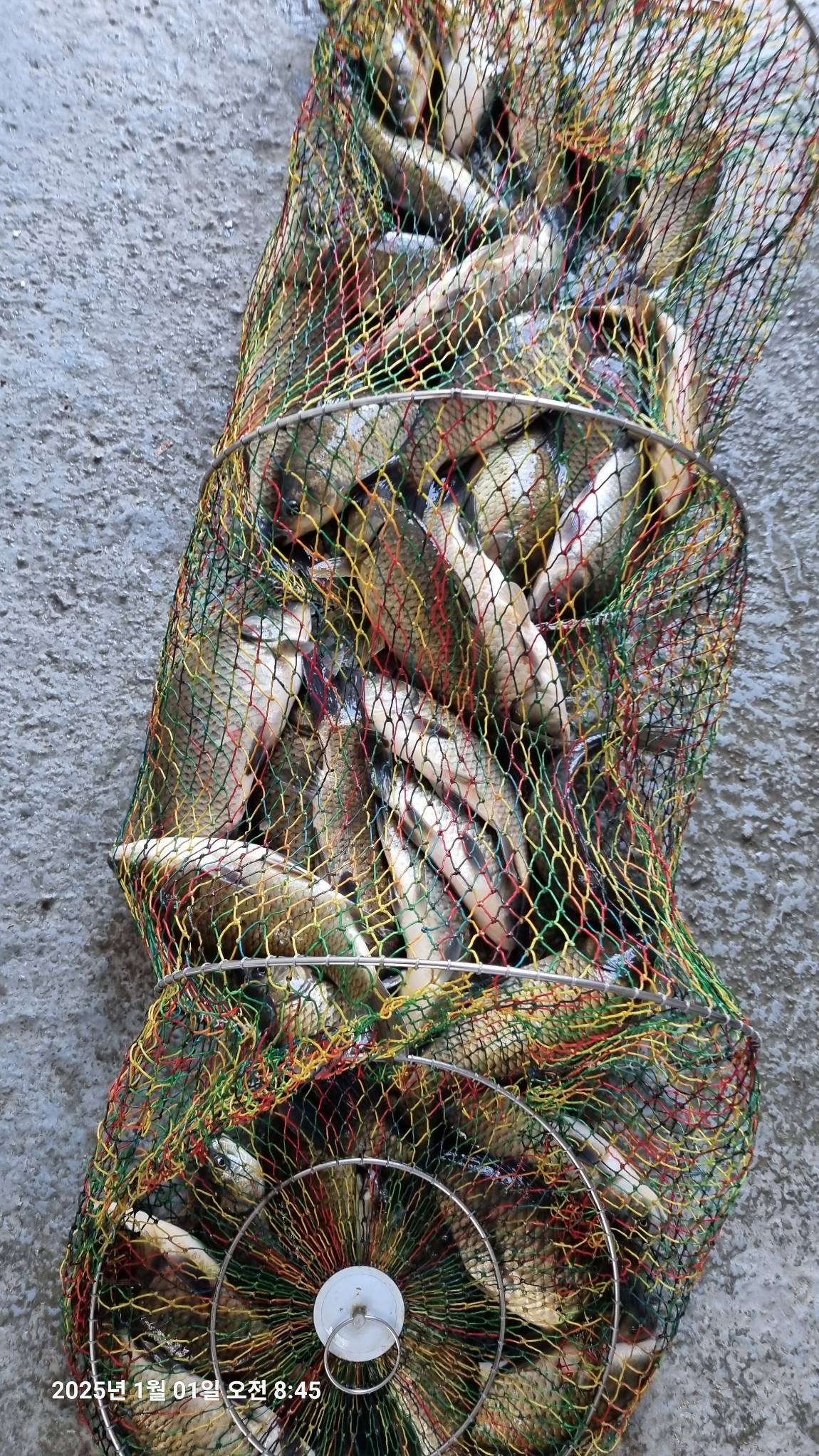20250101_084503.jpg