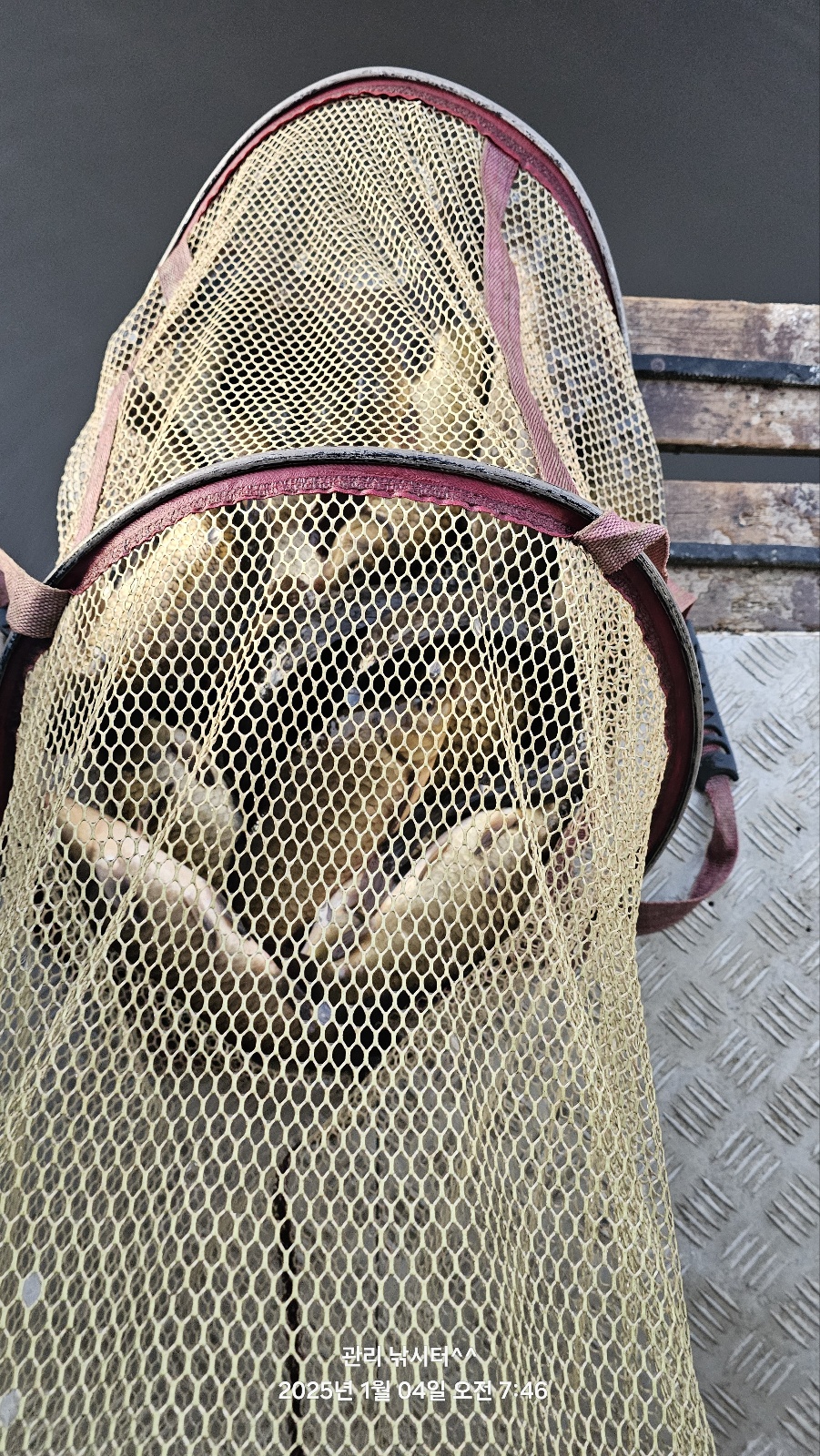KakaoTalk_20250105_213957814_07.jpg