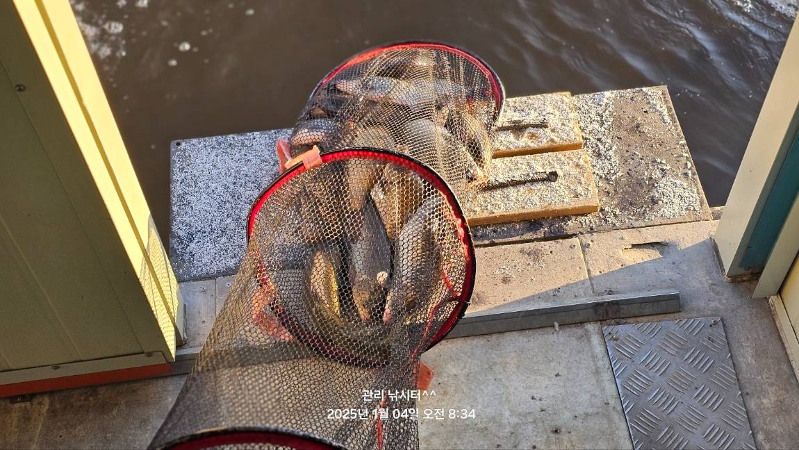 KakaoTalk_20250105_213957814.jpg