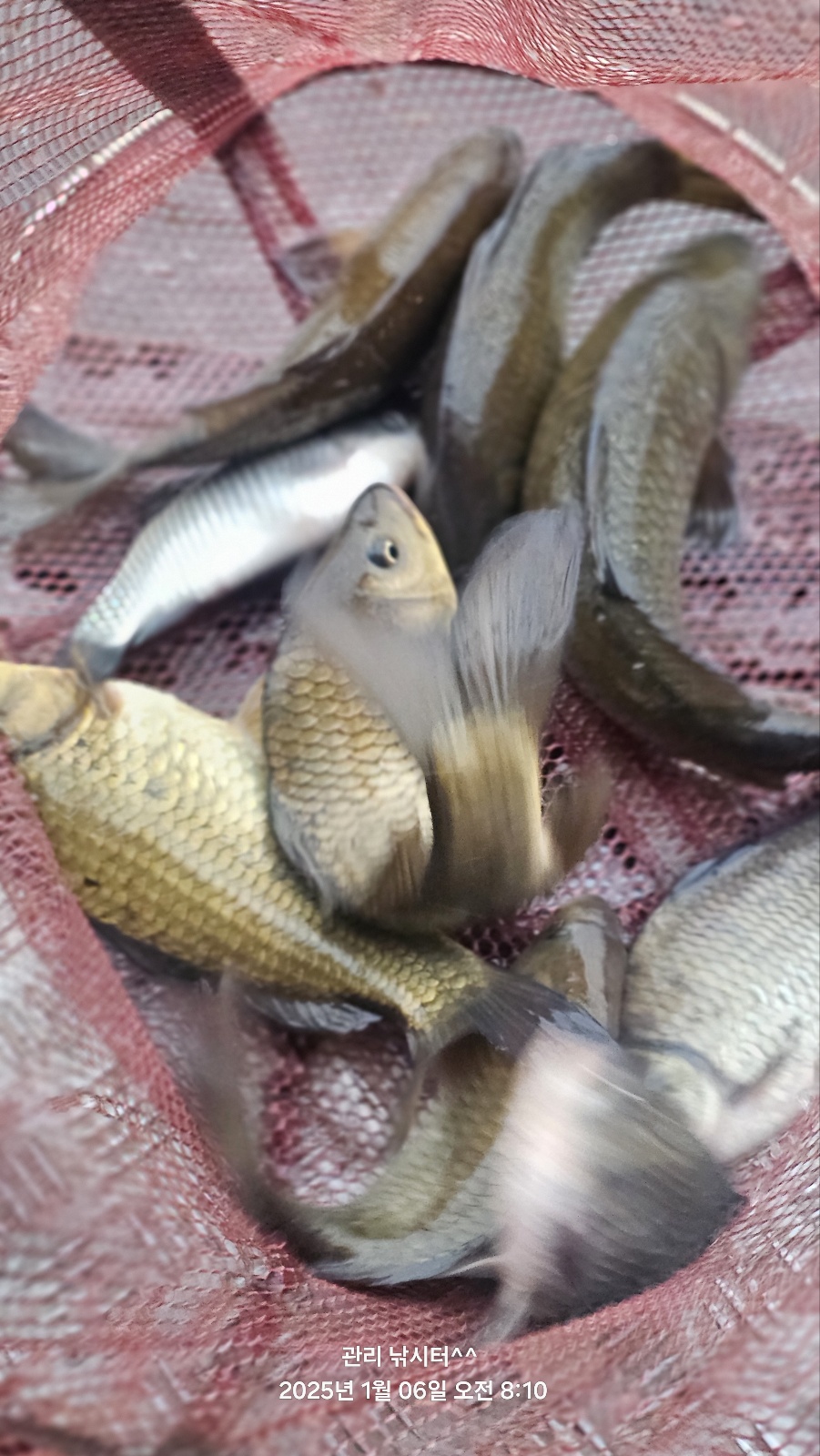 KakaoTalk_20250106_184900819_19.jpg