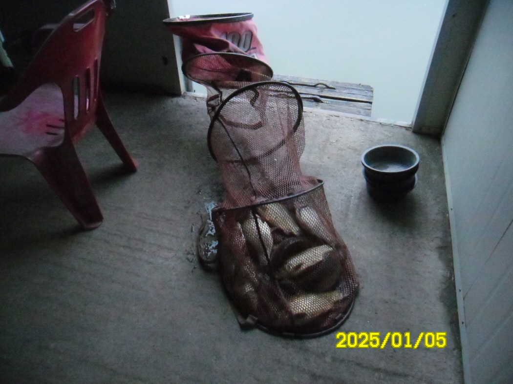 SAM_0985.JPG