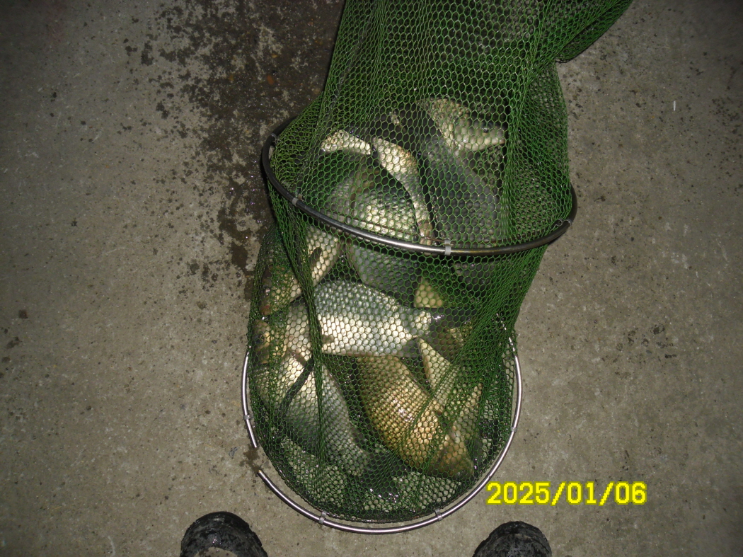 SAM_0990.JPG