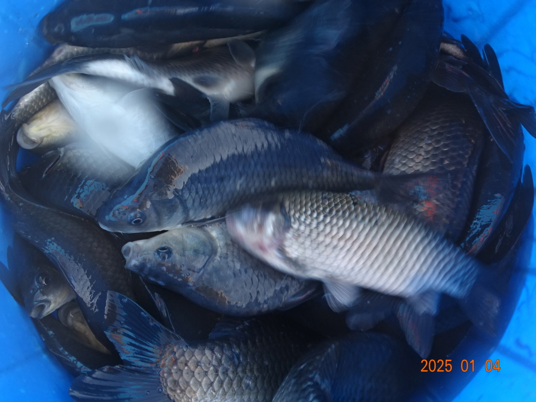 DSC08140.JPG