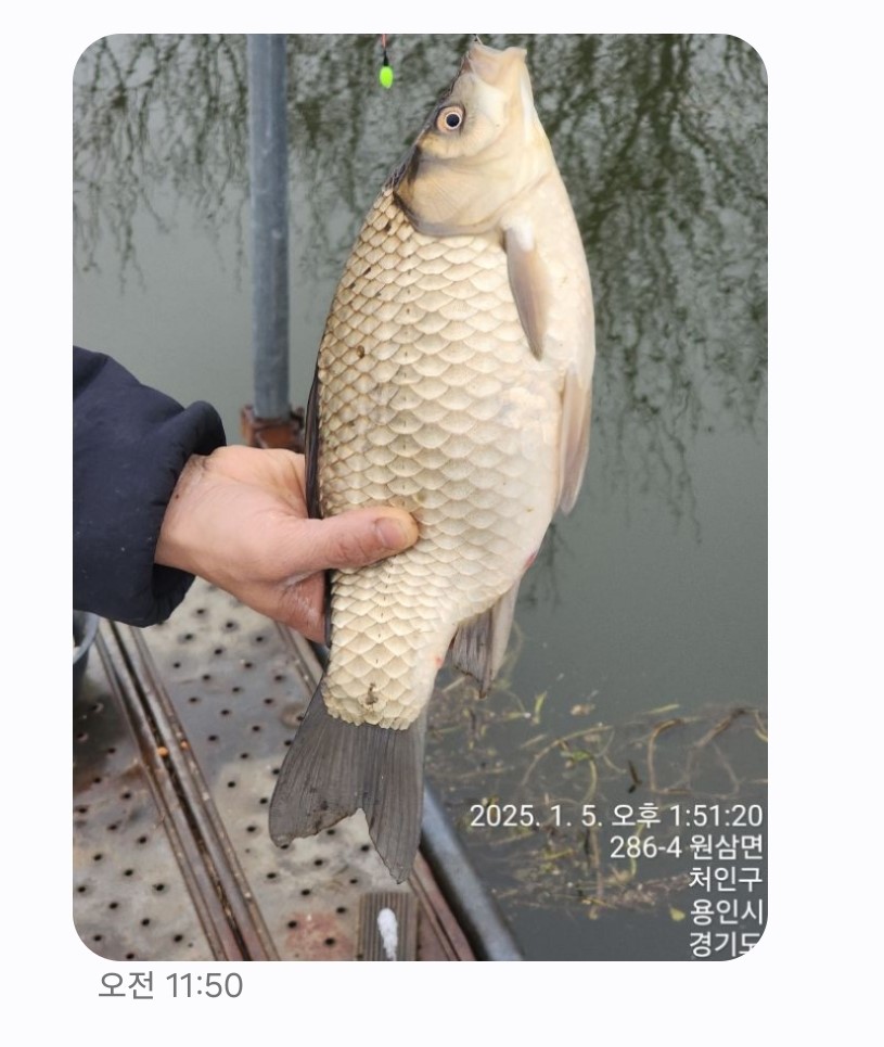 KakaoTalk_20250107_160221880.jpg