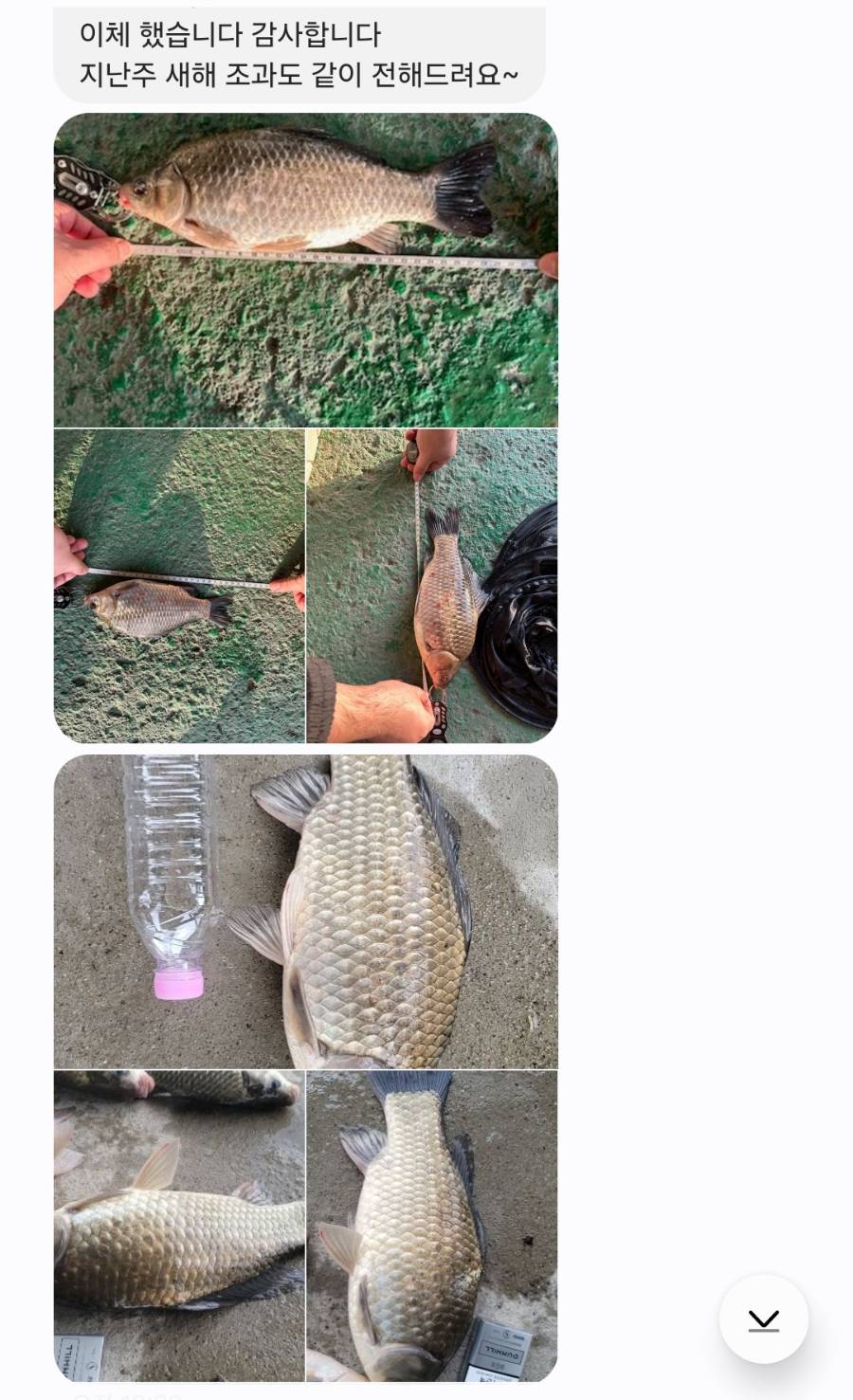 KakaoTalk_20250107_160221880_04.jpg