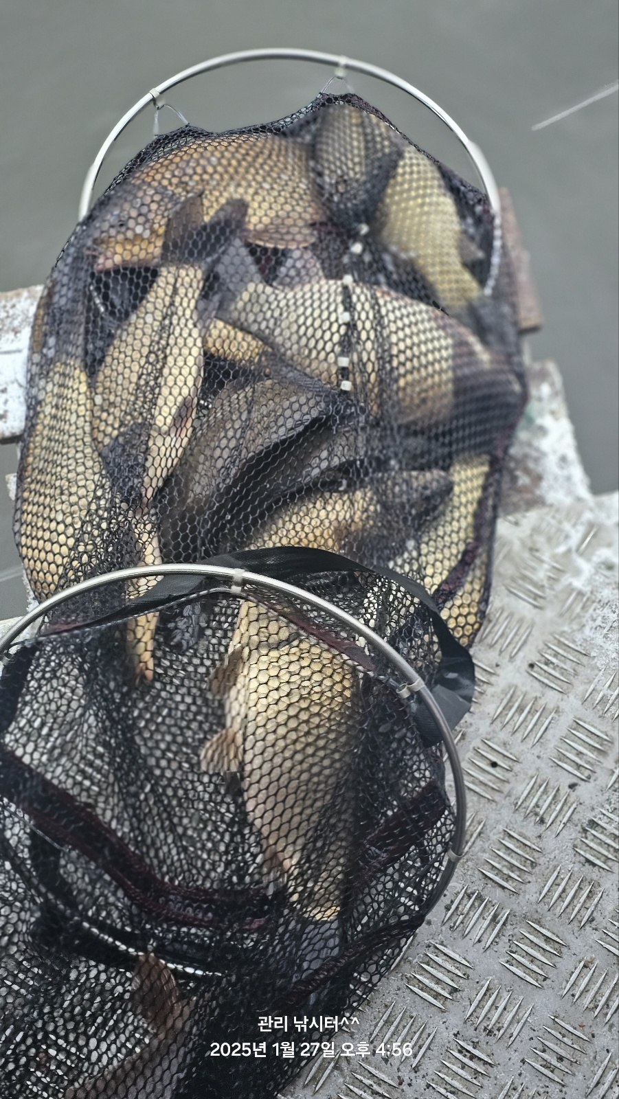 KakaoTalk_20250127_181358664_08.jpg