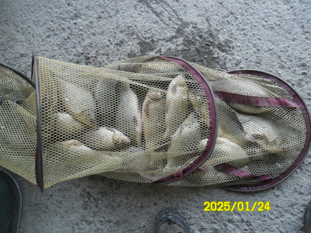 SAM_1089.JPG