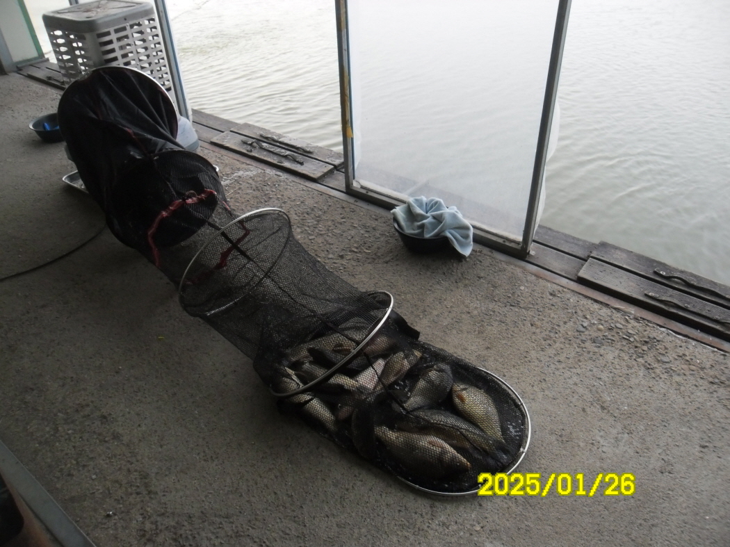 SAM_1104.JPG