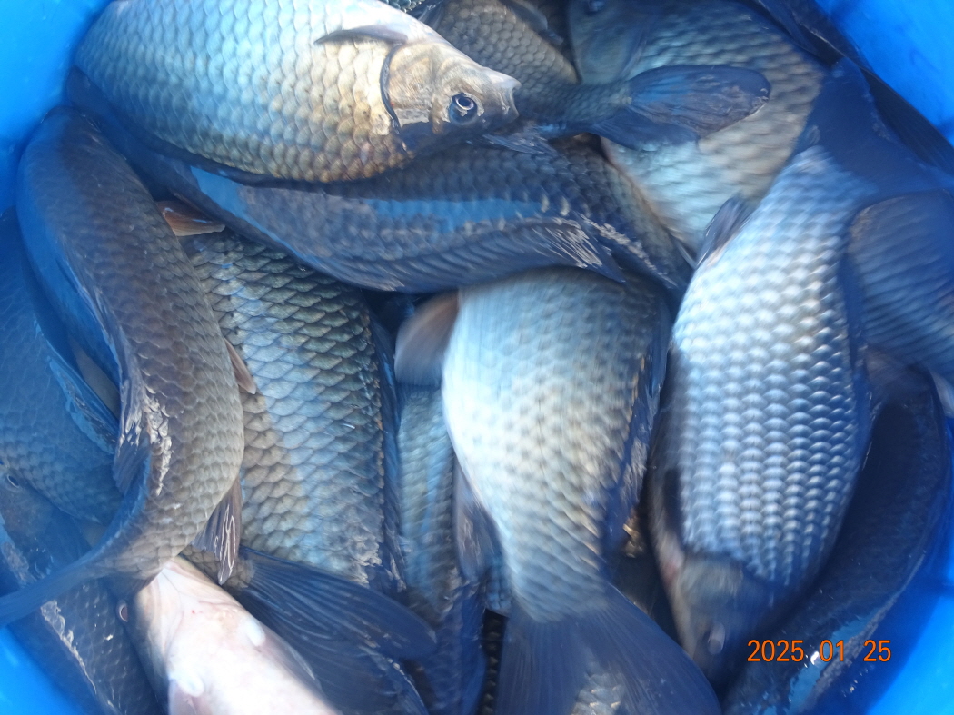 DSC08564.JPG