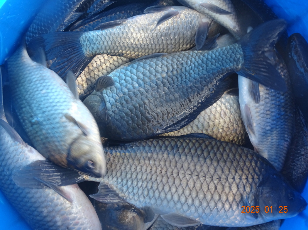 DSC08569.JPG